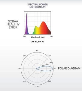 soraahealthy3